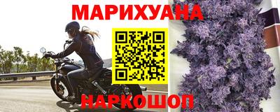 мяу мяу мука Ставрополь