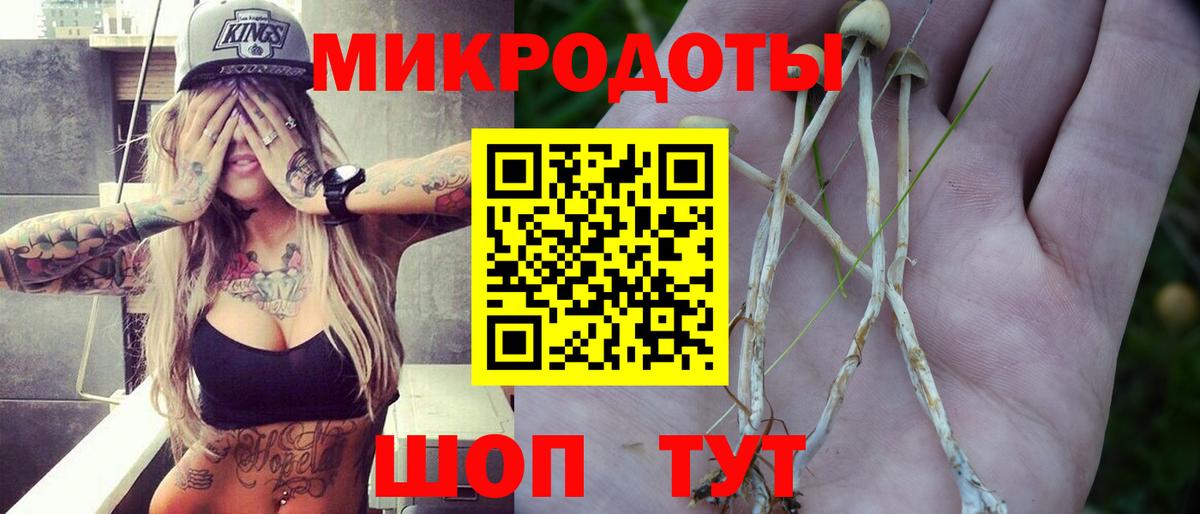 Галлюциногенные грибы ЛСД  Галлюциногенные грибы Magic Shrooms  Вход с VPN  Рассказово 